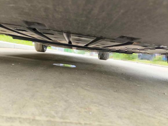 [合肥·皖A] 二手比亚迪海鸥2024款 荣耀版 305km 活力版