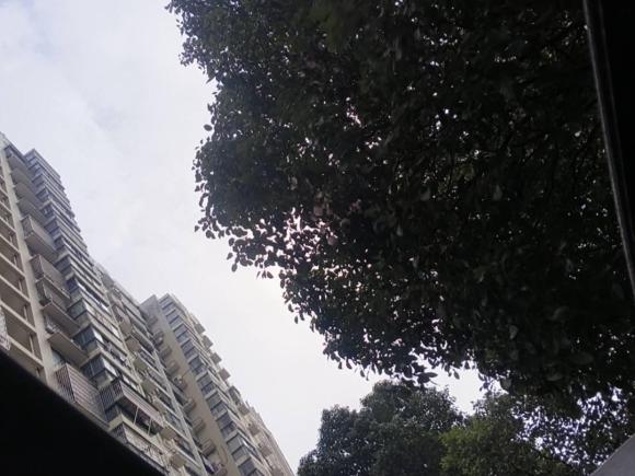 [武汉·鄂A] 二手丰田凯美瑞2018款 2.0G 豪华版