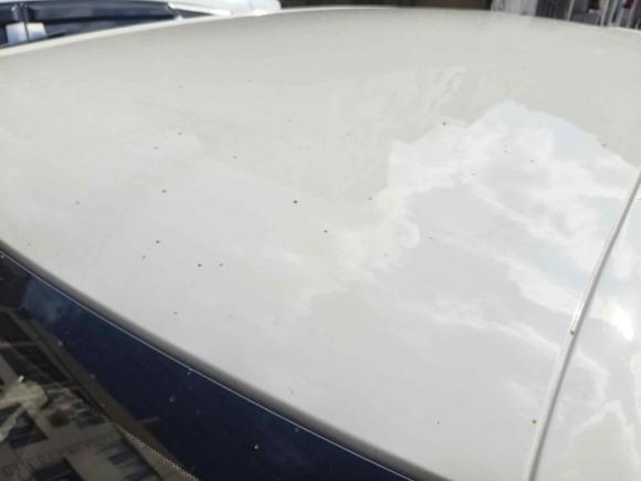 [温州·浙C] 二手东风纳米纳米012024款 焕新版 330 Plus智+