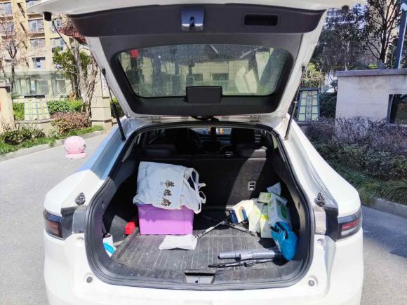 [杭州·浙A] 二手欧拉欧拉iQ2019款 出行版