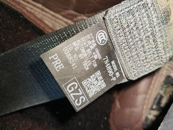 [西安·陕A] 二手丰田亚洲龙2019款 2.0L XLE尊享版 国VI