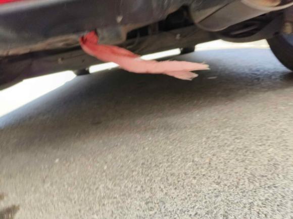 [青岛·鲁U] 二手铃木雨燕2016款 1.5L 自动时尚型酷玩版