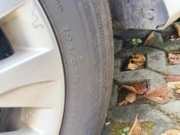 [嘉兴·浙F] 二手丰田卡罗拉2019款 1.2T S-CVT GL-i精英版