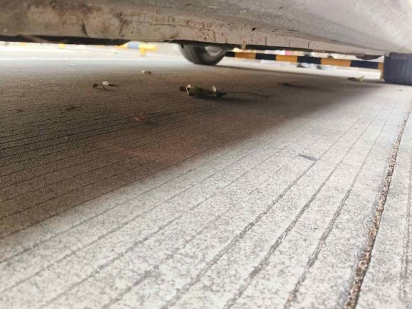 [广州·粤H] 二手福特福睿斯2015款 1.5L 自动时尚型