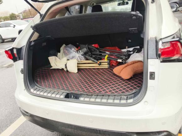 [上海·辽A] 二手雷克萨斯雷克萨斯NX2015款 200 前驱 锋行版