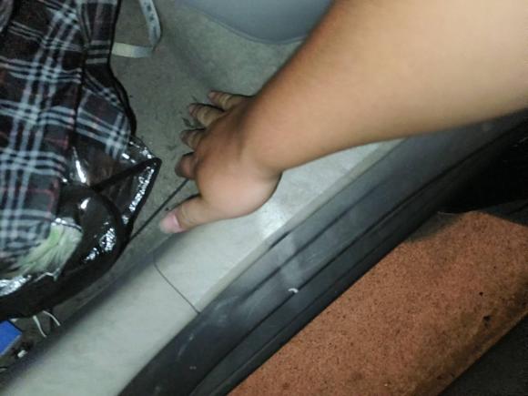 [苏州·苏M] 二手日产阳光2011款 1.5XE CVT舒适版