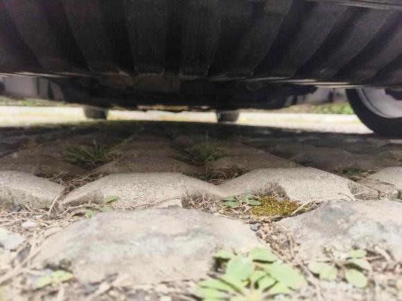 [南京·苏A] 二手奔驰奔驰C级2020款 C 260 L 运动版