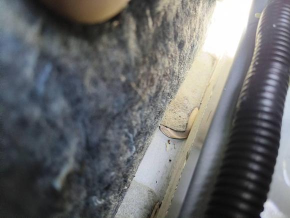 [广州·粤S] 二手本田凌派2019款 180Turbo CVT领先版 国V