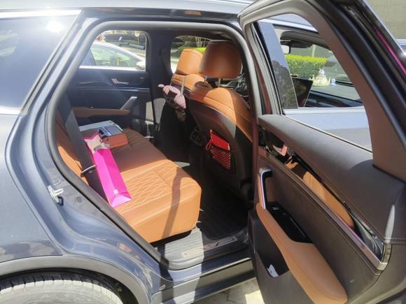 [合肥·皖A] 二手比亚迪唐新能源2023款 DM-i 冠军版 112KM 尊荣型