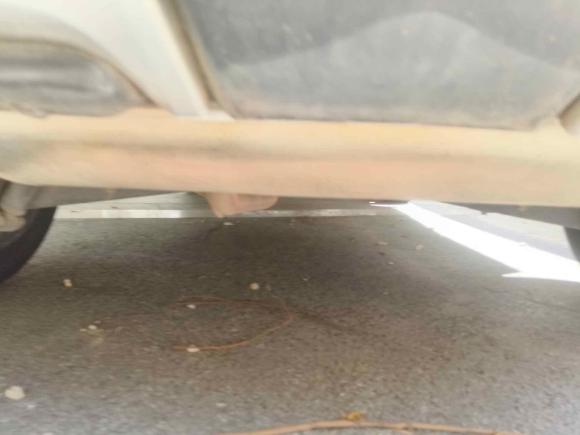 [上海·鄂A] 二手日产逍客2019款 2.0L CVT豪华版