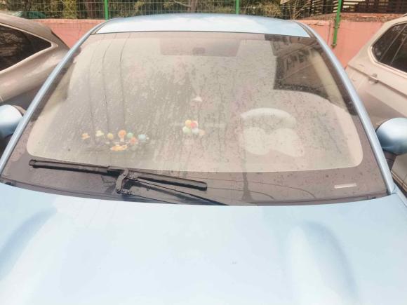 [上海·沪A] 二手欧拉欧拉黑猫2019款 301km 标准版