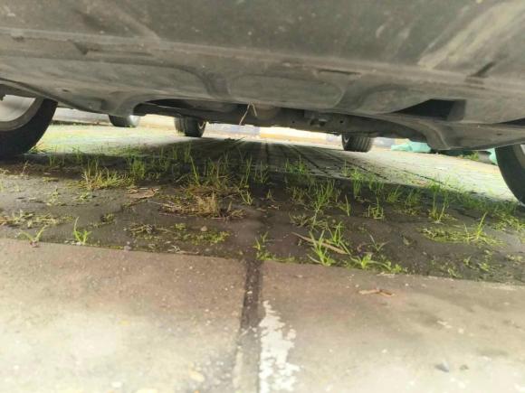 [苏州·苏U] 二手大众途安2013款 1.4T DSG舒适版5座