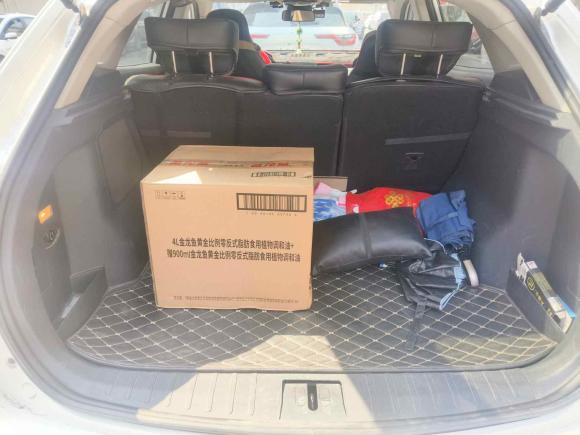 [温州·浙C] 二手威马汽车威马EX52020款 EX5-Z Fun动感版