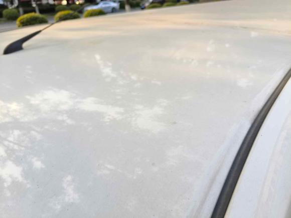 [常州·苏D] 二手福田智蓝精灵E72022款 标准型38.64kWh