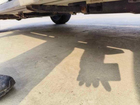 [青岛·鲁U] 二手大众途锐2011款 3.0TSI 标配型