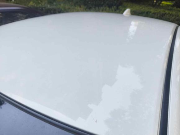 [合肥·皖A] 二手本田凌派2016款 1.8L CVT舒适版