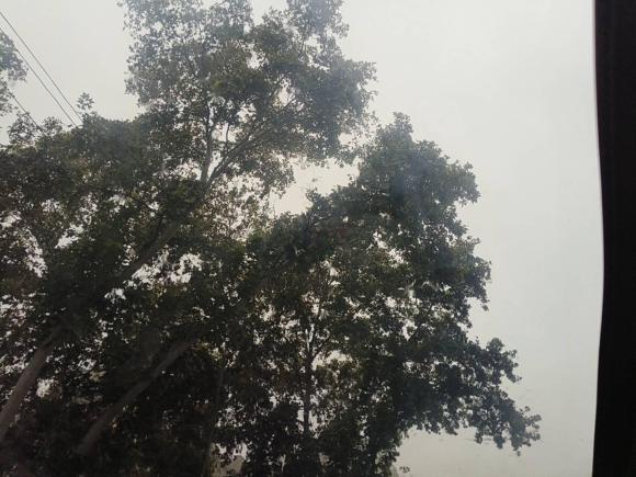 [西安·桂C] 二手林肯林肯MKZ2017款 2.0T 尊雅版