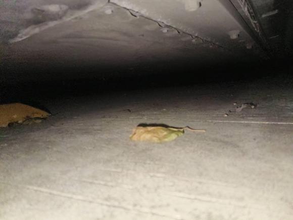 [深圳·粤B] 二手岚图汽车岚图追光2023款 四驱标准版