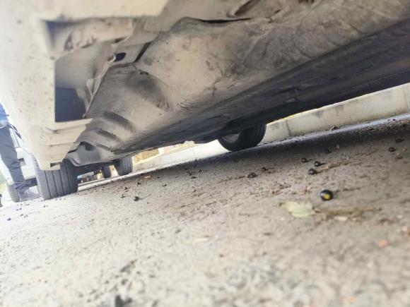 [上海·皖D] 二手福特蒙迪欧2013款 2.0L GTDi200时尚型