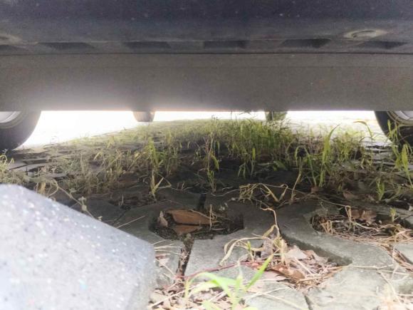 [苏州·苏U] 二手日产轩逸2016款 1.6XL CVT豪华版