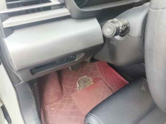 [苏州·苏U] 二手比亚迪秦2019款 1.5L 自动豪华型