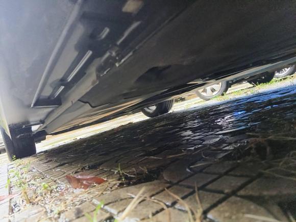 [广州·粤A] 二手马自达马自达3 昂克赛拉2021款 2.0L 自动质雅版