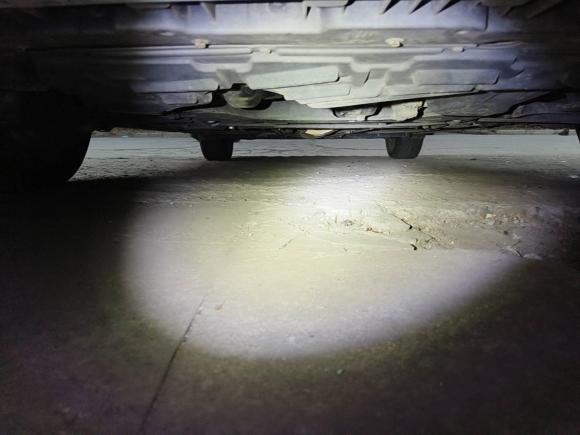 [合肥·皖A] 二手日产蓝鸟2019款 1.6L CVT炫酷版 国VI