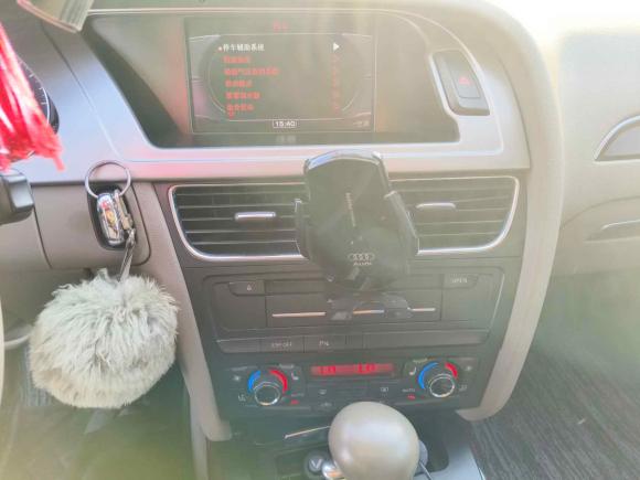 [上海·晋A] 二手奥迪奥迪A4L2010款 2.0 TFSI 技术型