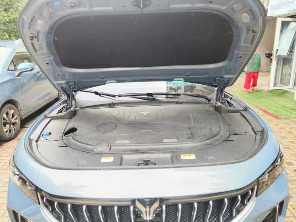 [青岛·鲁B] 二手岚图汽车岚图FREE2021款 四驱标准增程专属豪华套装