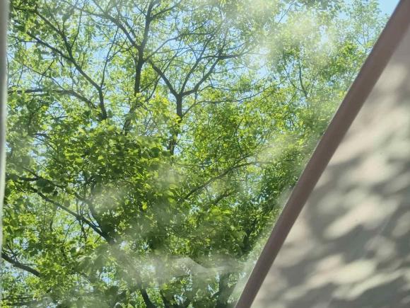 [嘉兴·浙H] 二手大众ID.6 X2021款 Pro 极智长续航版