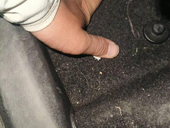 [常州·苏D] 二手比亚迪海鸥2024款 荣耀版 305km 活力版