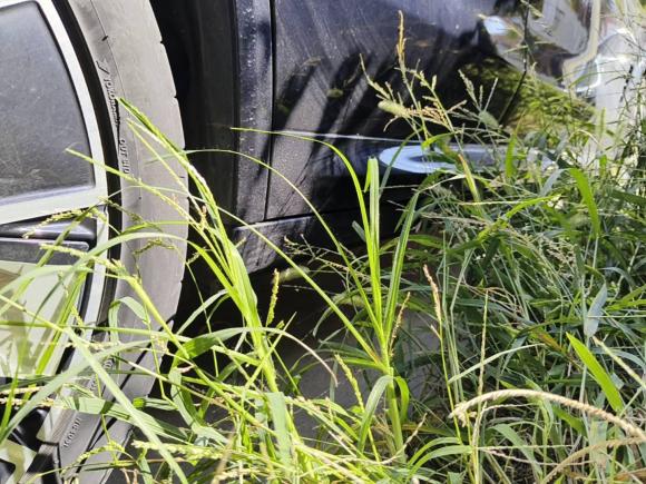 [芜湖·皖B] 二手宝马宝马iX32022款 创领型