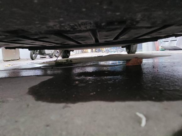 [杭州·浙A] 二手比亚迪海鸥2023款 活力版