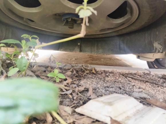 [深圳·粤L] 二手福特锐界2021款 PLUS EcoBoost 245 两驱豪锐型 7座