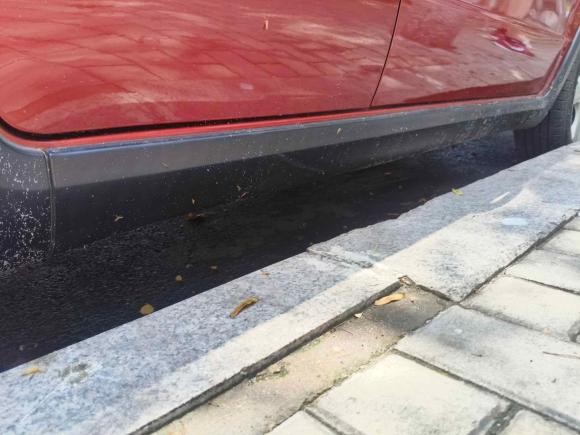 [青岛·鲁B] 二手铃木天语 SX42009款 两厢 1.6L 自动运动型