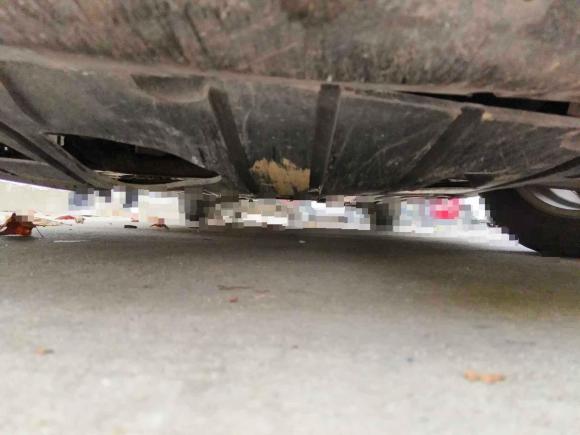 [合肥·皖A] 二手马自达马自达3星骋2011款 三厢 1.6L 自动精英型