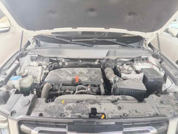 [上海·湘F] 二手哈弗哈弗大狗2021款 1.5T DCT两驱边牧-旺财版