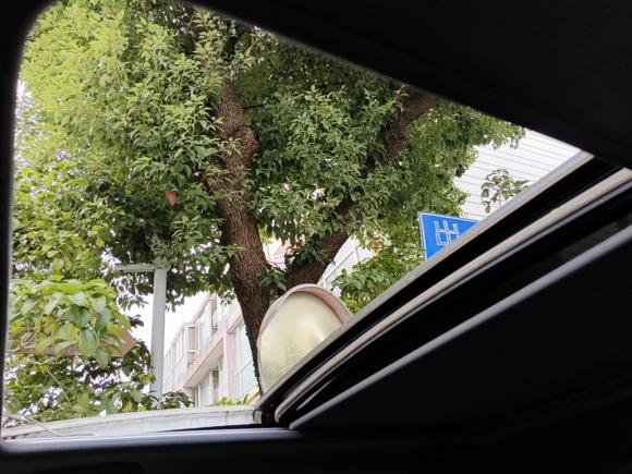 [上海·沪A] 二手思铭东风本田X-NV2020款 电掣版