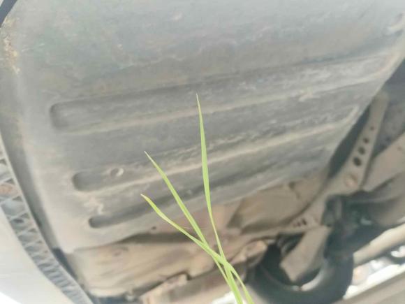 [嘉兴·浙A] 二手大众帕萨特2011款 1.8TSI 自动尊荣版