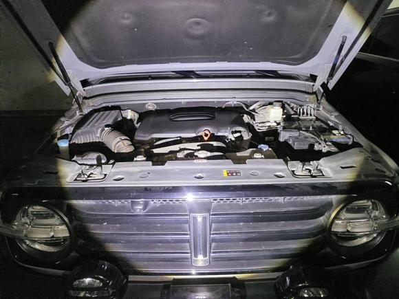 [上海·沪F] 二手坦克坦克3002021款 越野版 2.0T 挑战者