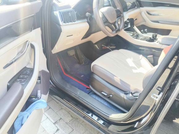 [南京·苏L] 二手比亚迪宋PLUS新能源2025款 EV 520km 豪华型