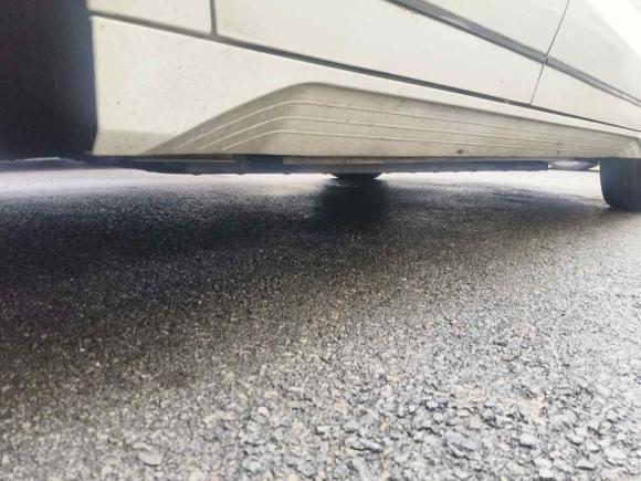 [上海·沪A] 二手比亚迪比亚迪e22023款 舒适型