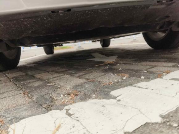 [嘉兴·浙F] 二手丰田卡罗拉锐放2023款 2.0L 精英版