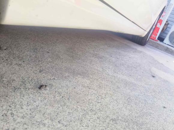 [杭州·浙A] 二手福特蒙迪欧2013款 1.5L GTDi180时尚型