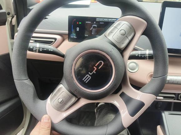 [合肥·皖A] 二手比亚迪海鸥2025款 305km 活力版