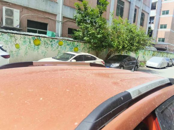 [深圳·粤S] 二手长安长安CS152016款 1.5L 自动时尚版