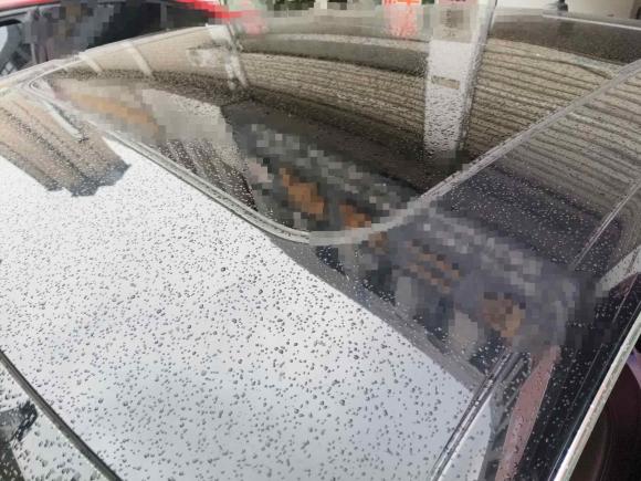 [合肥·皖A] 二手奥迪奥迪A6L2012款 35 FSI 舒适型