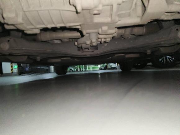 [佛山·粤A] 二手欧拉欧拉黑猫2022款 351km 标准型 三元锂