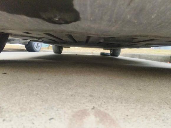 [上海·沪A] 二手比亚迪海豚2023款 420km 时尚版