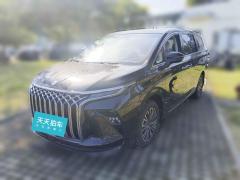 [苏州·苏E] 东风风行星海V92024款 1.5TD 200km 中国结系列 尊享型